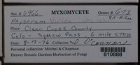 Image Associated With the Occurence